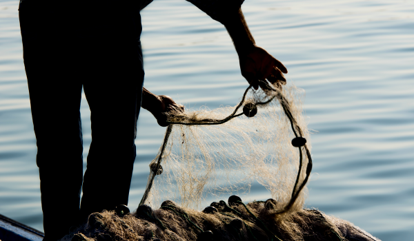 El mar y la pesca artesanal en la Constitución. Columna ARMASUR en El Llanquihue. 06 de diciembre de 2021.