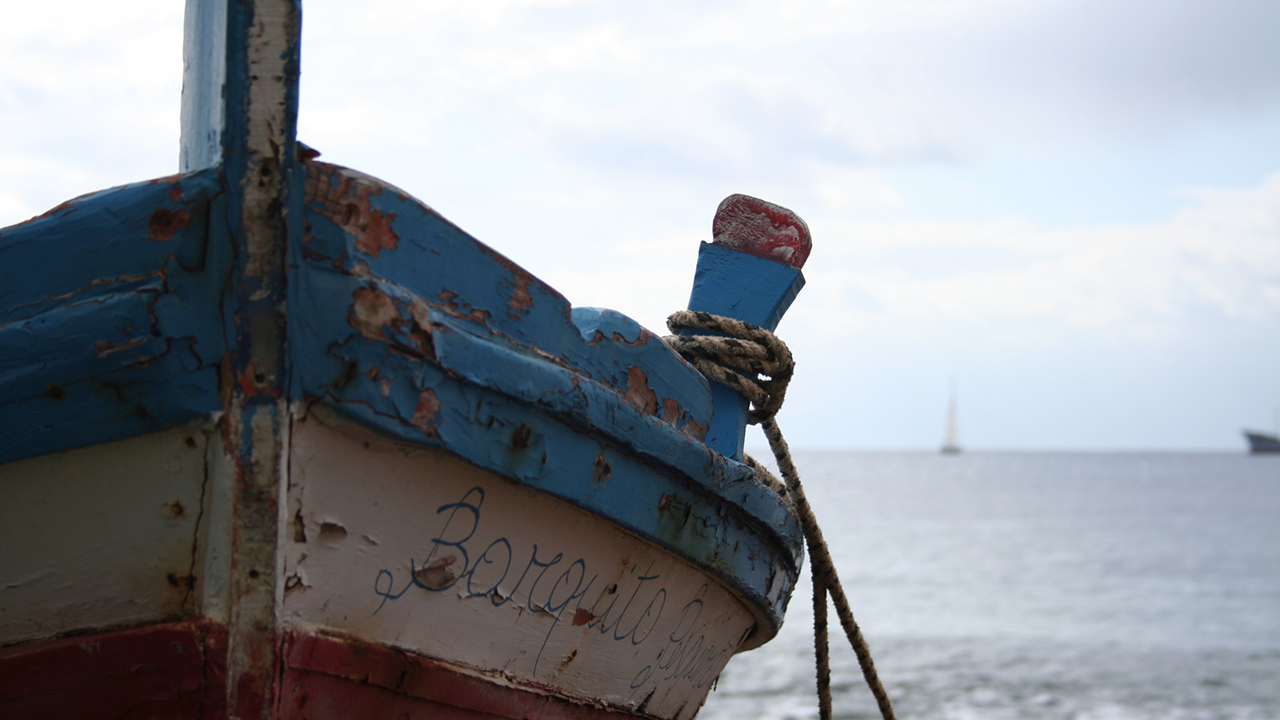 Estudiar en el mar. Columna de ARMASUR en Diario El Llanquihue.