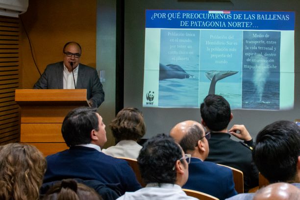 ARMASUR participa en seminario sobre ruido submarino.